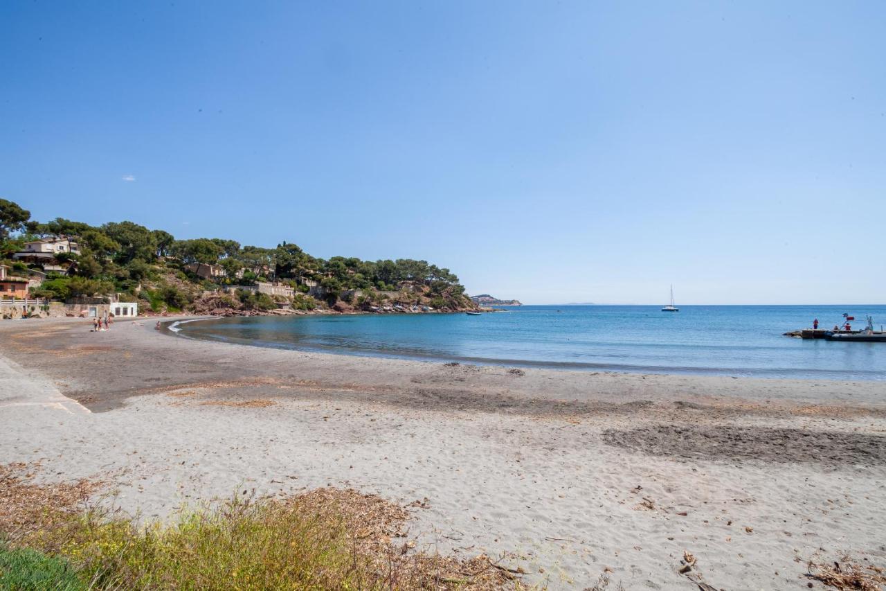 T2 - La Seyne Sur Mer - Fabregas Exterior foto